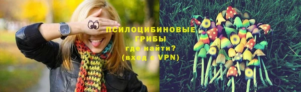 МДПВ Алексеевка